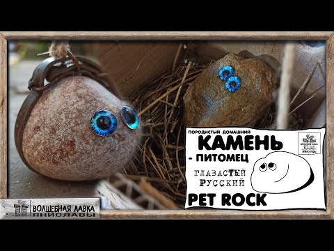 Домашний КАМЕНЬ   питомец  Глазастый РУССКИЙ PET ROCK