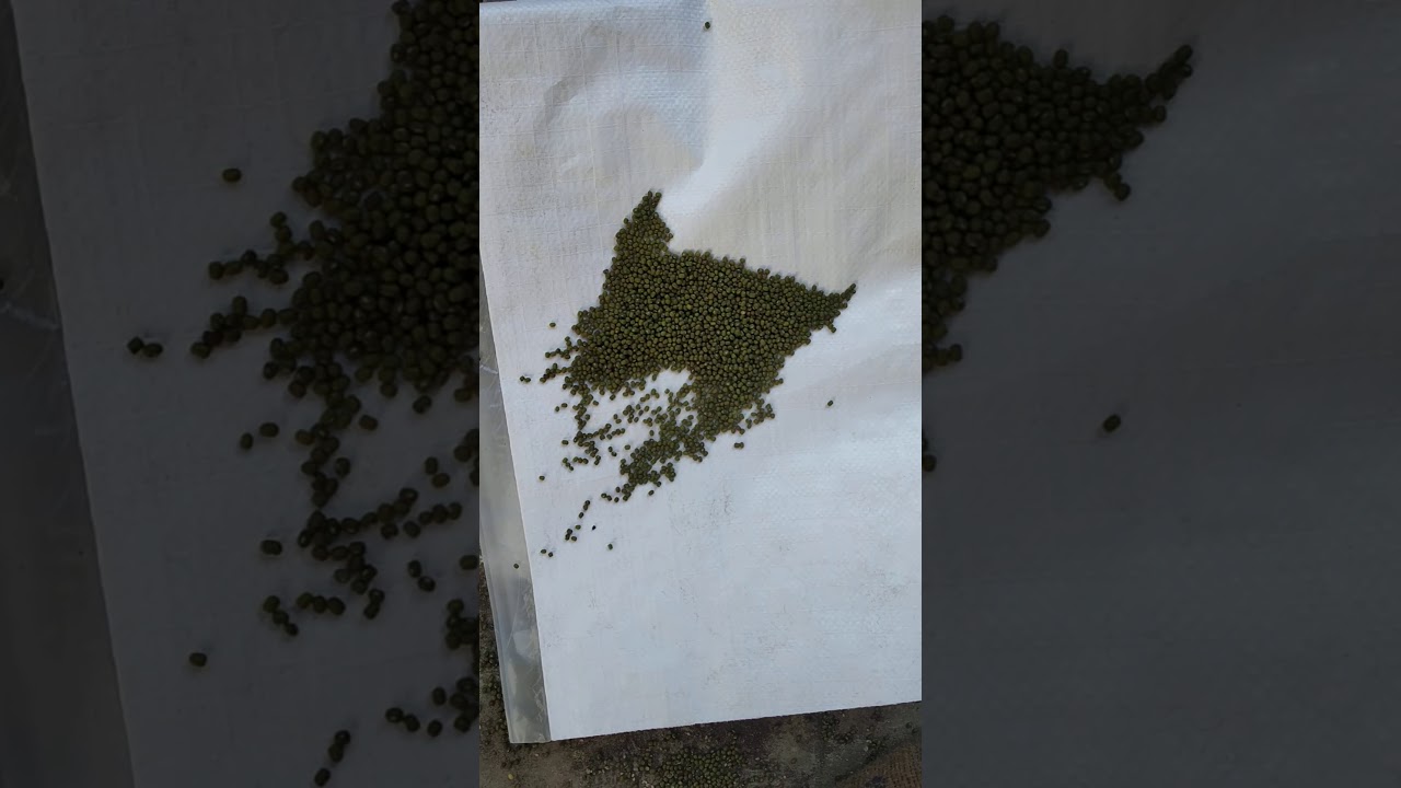 seed sorter- green moong , T20 mark color sorter