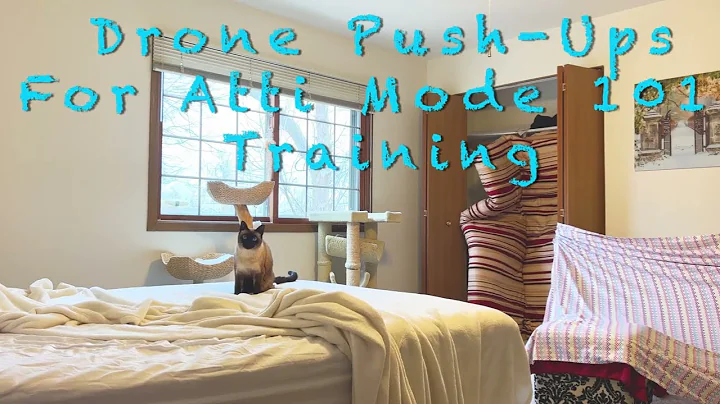 Learn To Fly in Atti Mode for Under $30 and Have a Blast!  😀