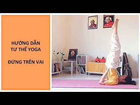 Hướng dẫn tư