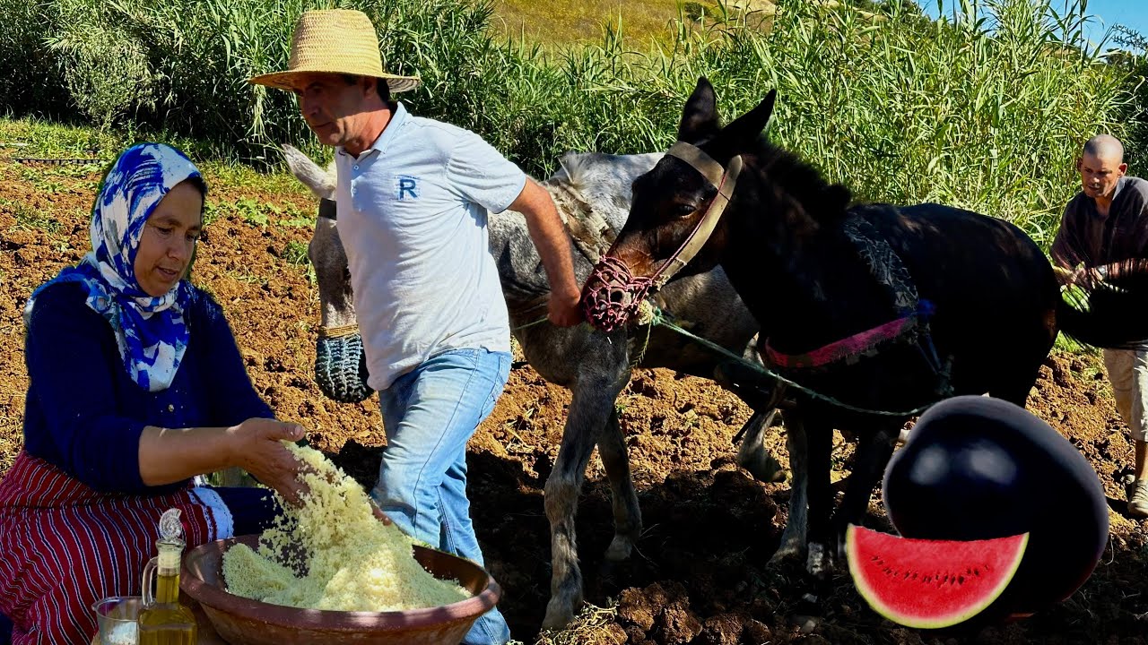 زراعة البطيخ الاحمر بسهولة و طهي الكسكس بطريقة تقليدية