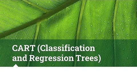 ( Classification and Regression Trees)