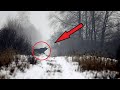 What scientists discovered in the CHERNOBYL FOREST shocked the whole world!