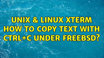Unix & Linux: xterm: how to copy text with Ctrl+C under FreeBSD?