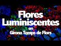 Flores luminiscentes en Girona Temps de Flors | Girona | CATALUÑA#2 | ESPAÑA#2 | TrotandoMundos