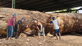Process of Cutting Large Logs Hundreds of Years Old!