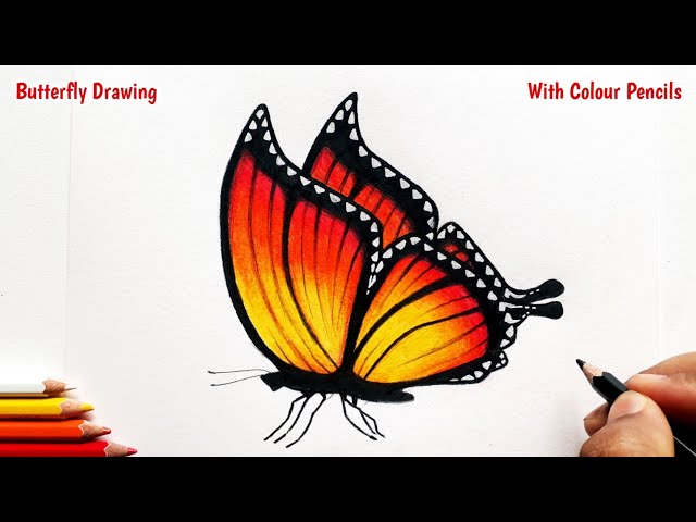 How to Draw Butterfly Easy Butterfly Coloring Pages for Kids Learn W... |  Butterfly coloring page, Butterfly drawing, Coloring pages