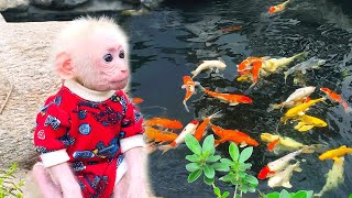 Bibi's first time having a fun picnic with him family