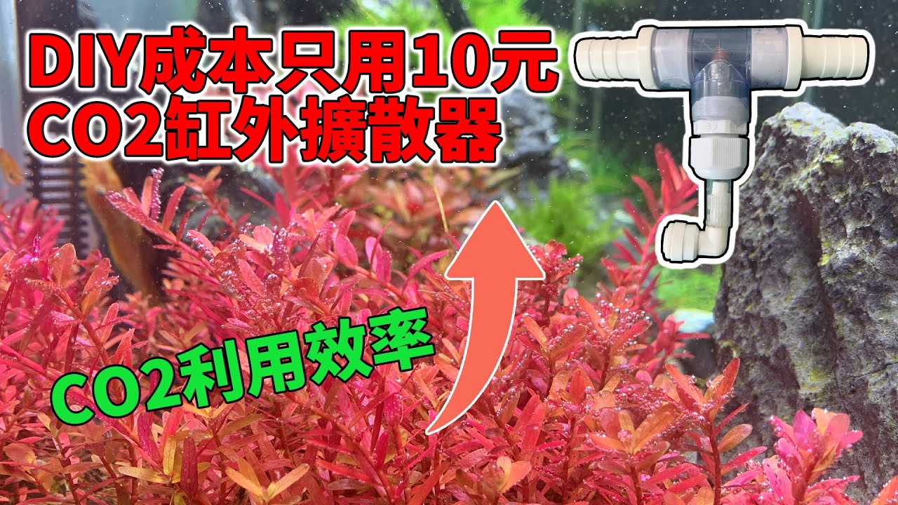 Diy成本只用10元的co2缸外擴散器 Co2利用效率最大化 Diy Co2 Diffusion Dissolver Improve Co2 Utilization Efficiency Youtube