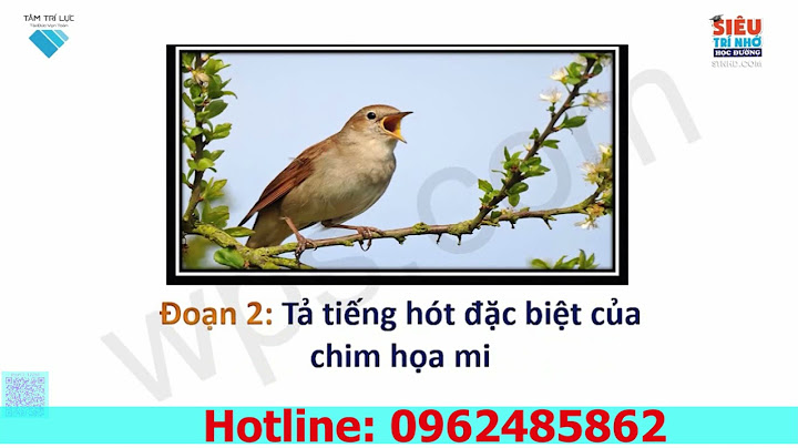 Bài văn tả con songtoo lịch lớp 5 năm 2024