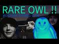 Rare Owl !! Montana Birding Vlog