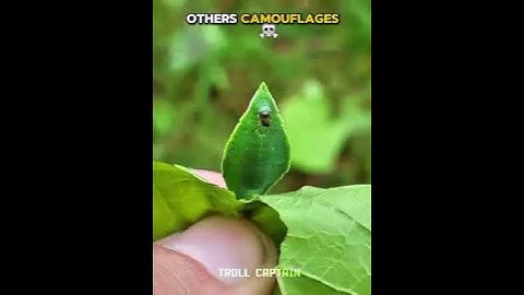 #trollface #gamtng #trending#TrollFace #MemeArmy #Shorts