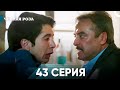 Чёрная роза часть 43