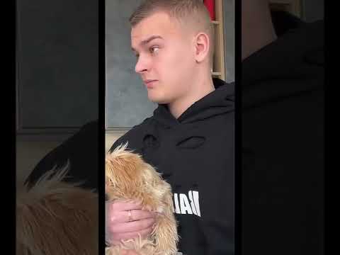 ОАОА!😂 Сказал, хлеба дома маловато))😅 #family #pregnancy #беременность