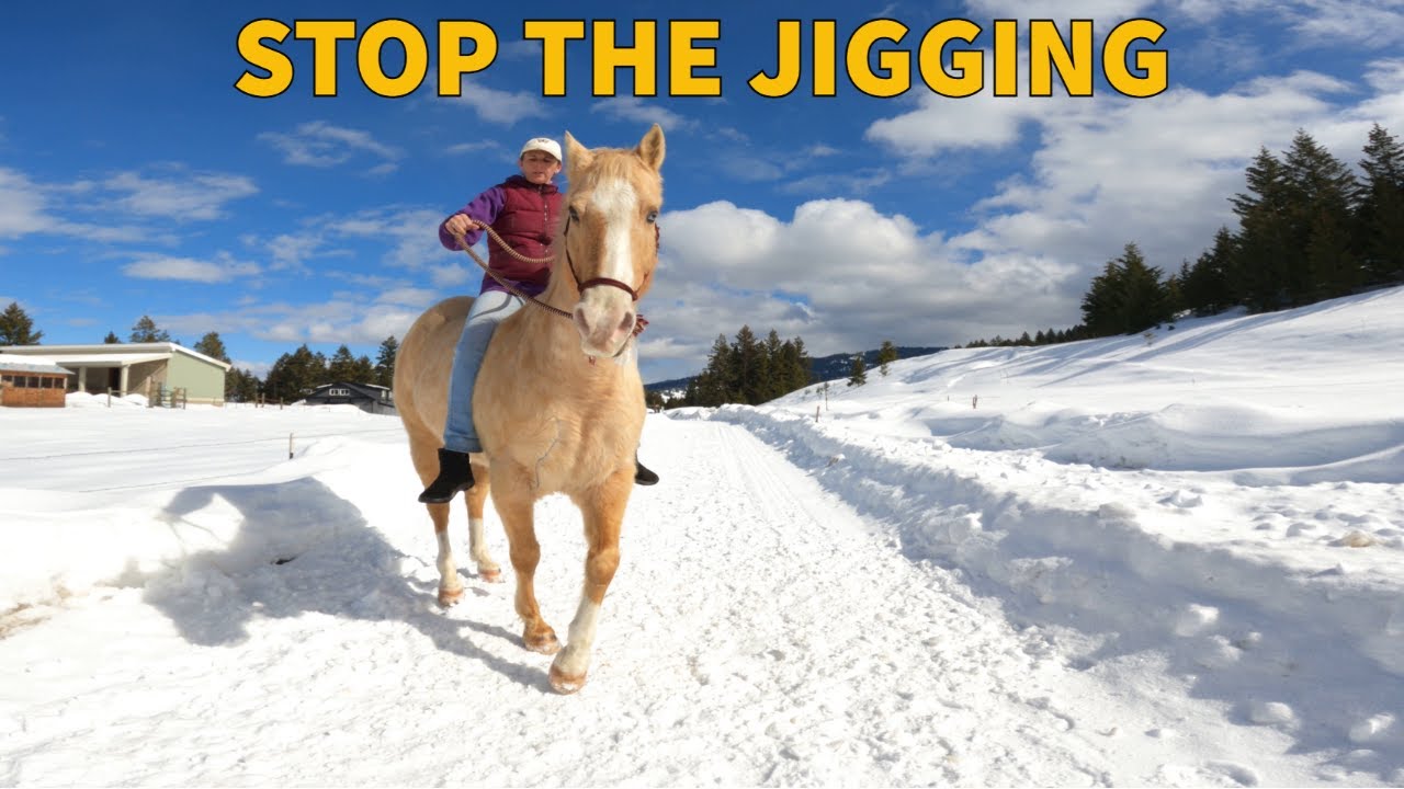 HOW TO GET A FAST/JIGGY HORSE TO SLOW DOWN YouTube