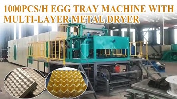 1000pcs/h egg tray machine | Small paper tray making machine with metal drying system for sale