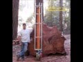 Crosscut milling vertically with a Stihl 090