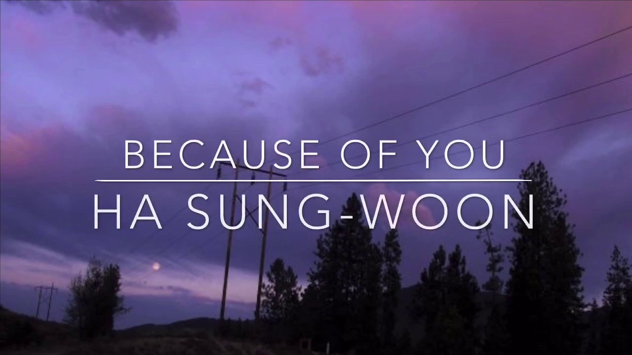 Because Of You Ha SungWoon (Traducida al español) [Flower Crew Joseon Marriage Agency OST Because Of You Ha SungWoon (Traducida al español) [Flower Crew Joseon Marriage Agency OST
