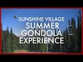 Sunshine Village Summer Gondola Experience in Banff, Alberta