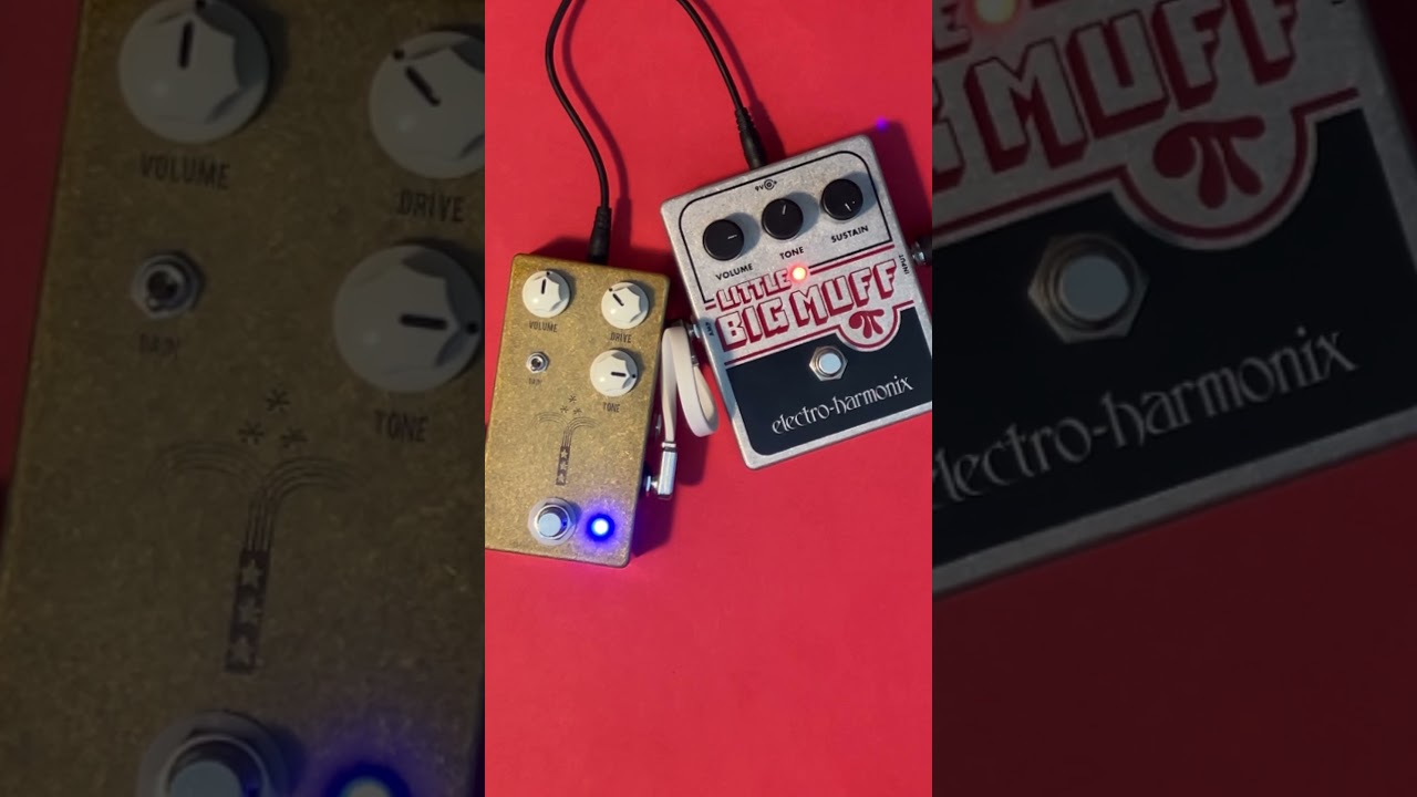 Little Big Morning Glory