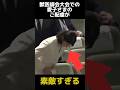 世界獣医師大会での愛子さまのご配慮