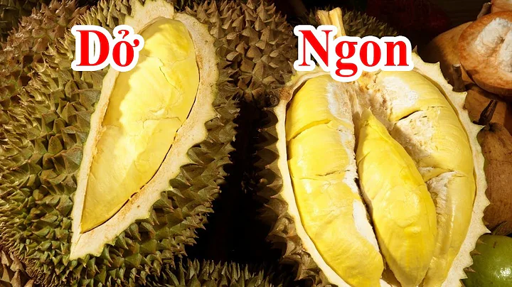 Top 16 sầu riêng hạt là gì