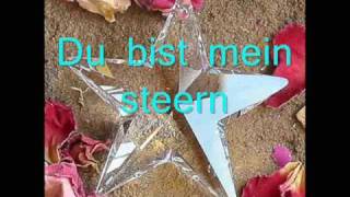 Eisblume Stern lyrics