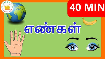 எண்கள் 1-10 | Learn Numbers in Tamil for Kids |Number Collection Videos for children| Tamilarasi