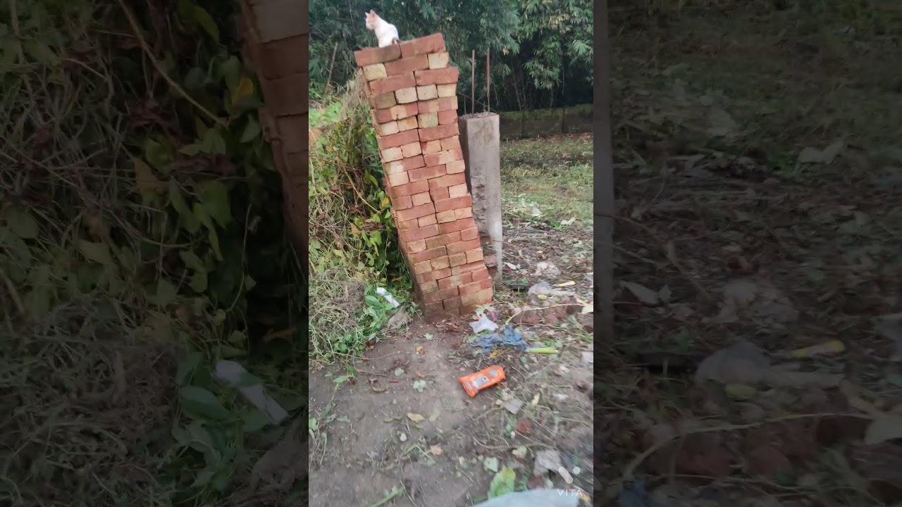 5 COTTAH BASTU LAND AVAILABLE FOR SALE AT CHINAR PARK BABLATALA BUSSTOP