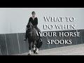 WHAT TO DO WHEN YOUR HORSE SPOOKS - FearLESS Friday TV Episode 11