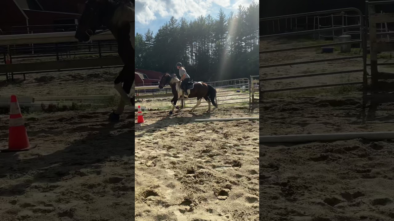 Domino and Julianna at the canter