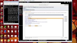 Burp Suite with more than one parameter for fuzzifier