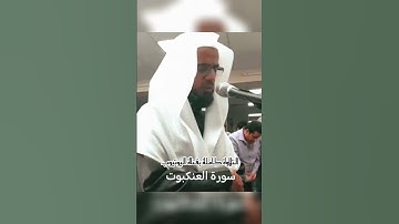 تلاوة نادرة جدا للشيخ شيخ أبو بكر الشاطري سورة العنكبوت من صلاة التراويح