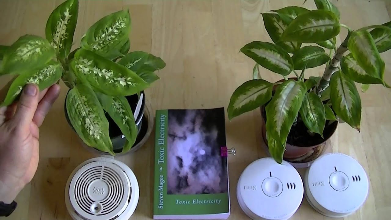 Radioactive Smoke Detector Experiment 3 Results YouTube