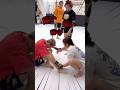 超新星をイジメる伊澤選手 #shorts