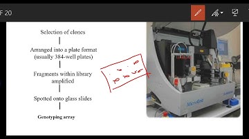 DArT- Diversity array technology