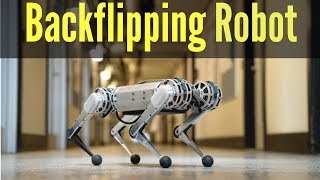 Backflipping MIT Mini Cheetah Robot