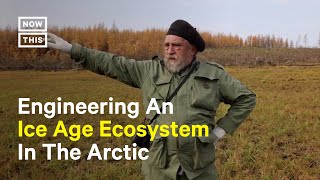 Father-Son Duo Hopes to Slow Permafrost Melt in Arctic