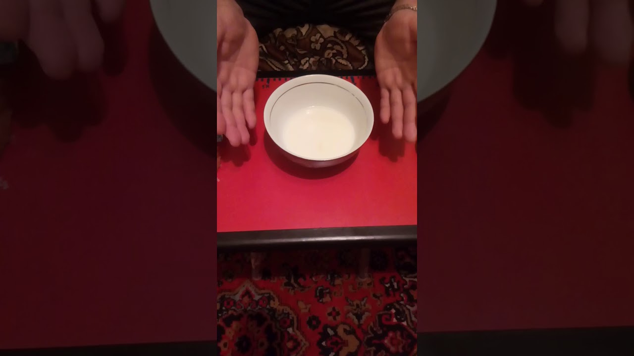 balıq ovu. şirbit(usaç)balığın yemi