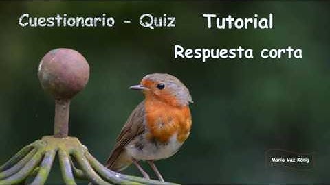CUESTIONARIO: RESPUESTA CORTA -  TUTORIAL  +  EJEMPLO