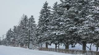 2019.2.8 弘南鉄道 弘南線 ラッセル車回送