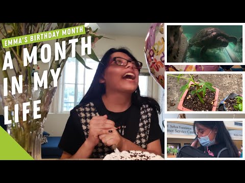 A Month In My Life: September Vlog