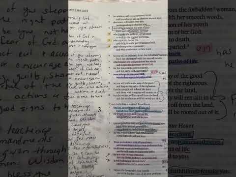 Bible Safe Highlighters: Yisan Highlighters