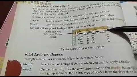 Class 6 Computer Ch 6 More on Excel Part 2 M. M. Model School online classes Class VI