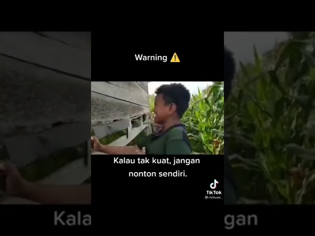 Serem ga sih? kasian anak kecilnya sampe ketawa tapi ketakutan kaya gini 😭😭 class=