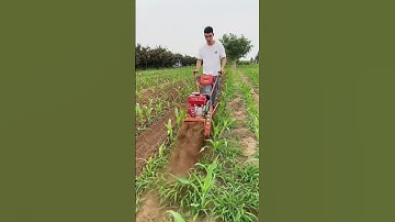 #weedingmachine#single-wheel four-wheel drive trenching machine#viralvideo #trending #farming#shorts