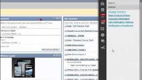How to change your password on Blackboard Learn 9.1