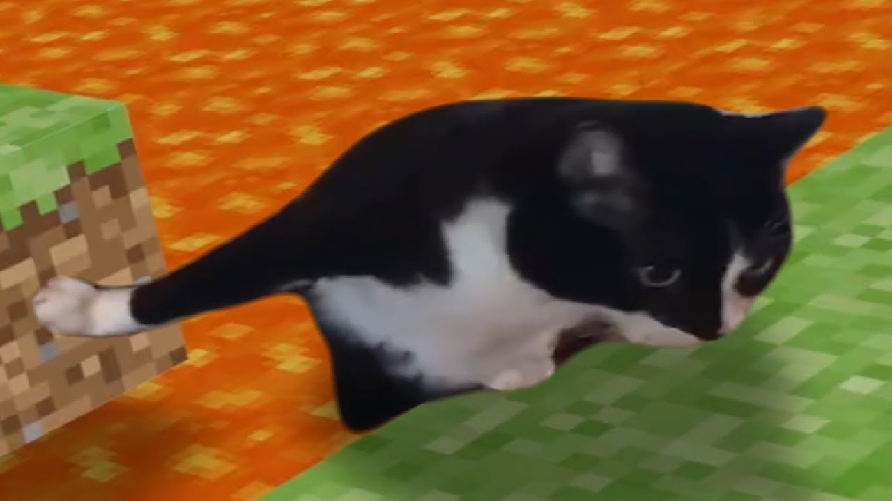 HELP