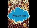 Обустройство клетки для попугая