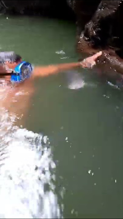 nembak ikan jurung babon.